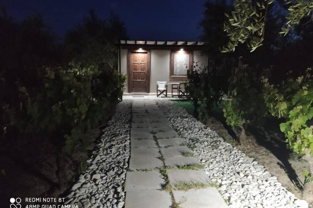 Koukounariá Raisin Houseヴィラ エクステリア 写真